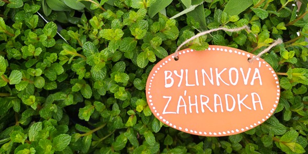 Bylinková záhrada