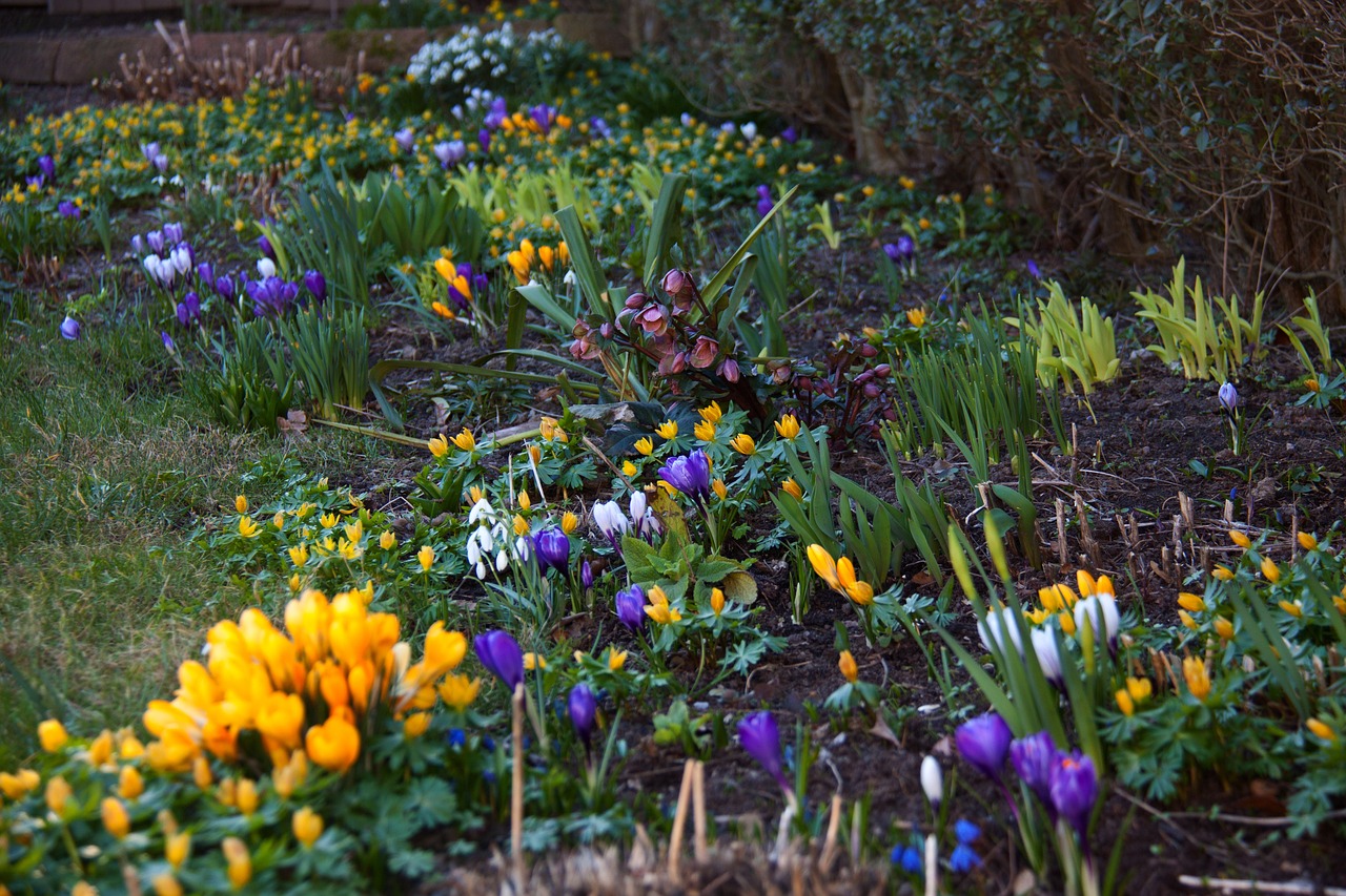 flowers g1df6dc0dc 1280