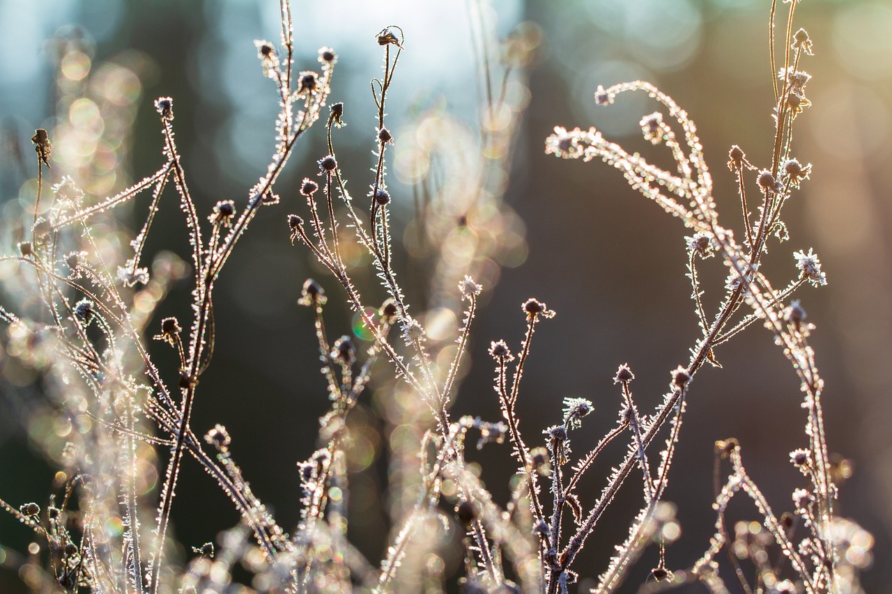winter gbcb030aca 1280